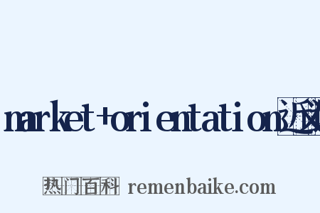 market+orientation近义词是什么意思的图片